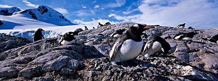 《收获日3》公布前瞻PV，6月27日敬请期待